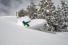 2025-26 Season Pass - Adult (19-64)