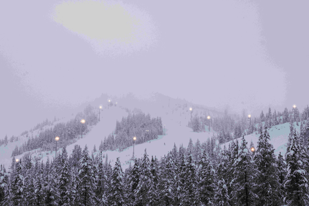 Super Senior (Ages 75+)