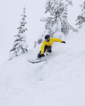 Junior Lift Ticket (Ages 11-12)