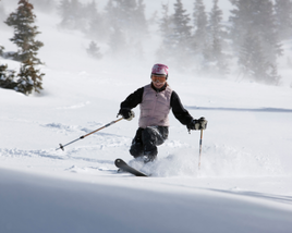 1hr Private Telemark Lesson