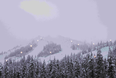 Super Senior (Ages 75+)